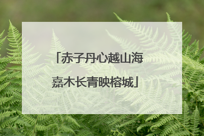 赤子丹心越山海 嘉木长青映榕城