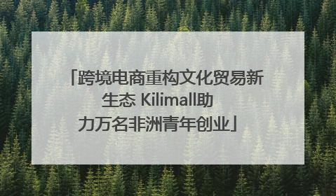 跨境电商重构文化贸易新生态 Kilimall助力万名非洲青年创业