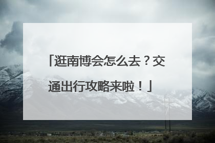 逛南博会怎么去？交通出行攻略来啦！