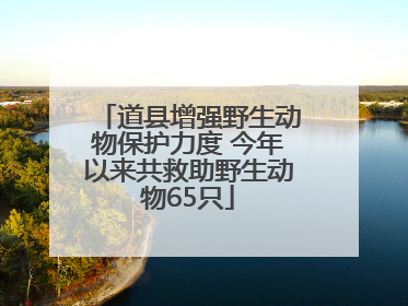道县增强野生动物保护力度 今年以来共救助野生动物65只