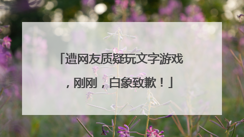 遭网友质疑玩文字游戏，刚刚，白象致歉！
