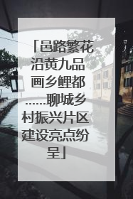 邑路繁花 沿黄九品 画乡鲤都……聊城乡村振兴片区建设亮点纷呈