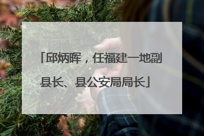 邱炳晖，任福建一地副县长、县公安局局长