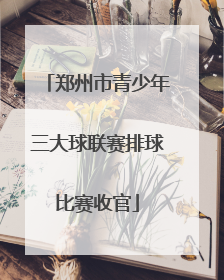 郑州市青少年三大球联赛排球比赛收官