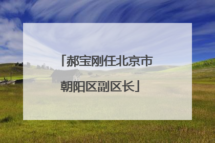 郝宝刚任北京市朝阳区副区长