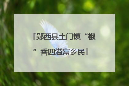 郧西县土门镇“椒”香四溢富乡民