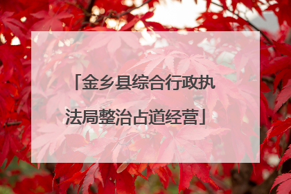 金乡县综合行政执法局整治占道经营