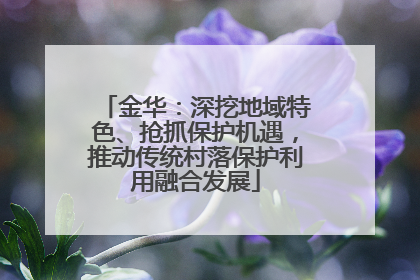 金华：深挖地域特色、抢抓保护机遇，推动传统村落保护利用融合发展