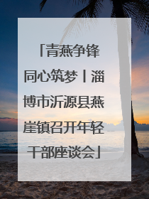 青燕争锋 同心筑梦丨淄博市沂源县燕崖镇召开年轻干部座谈会