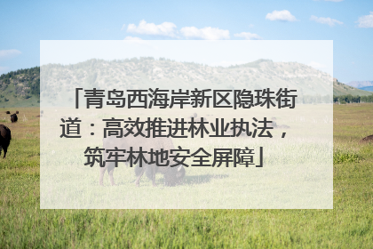 青岛西海岸新区隐珠街道：高效推进林业执法，筑牢林地安全屏障
