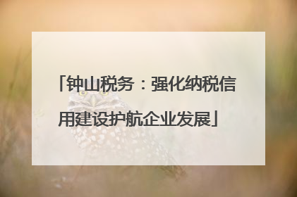 钟山税务：强化纳税信用建设护航企业发展