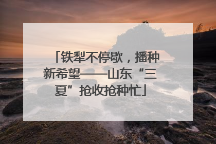 铁犁不停歇，播种新希望——山东“三夏”抢收抢种忙
