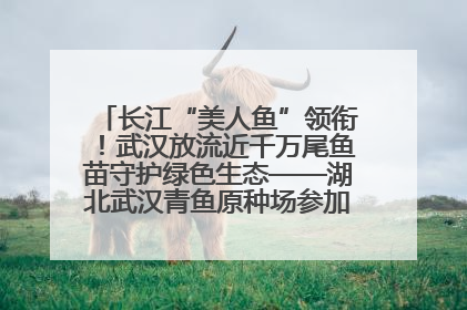 长江“美人鱼”领衔！武汉放流近千万尾鱼苗守护绿色生态——湖北武汉青鱼原种场参加2025年“全国放鱼日”增殖放流活动