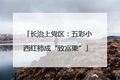 长治上党区：五彩小西红柿成“致富果”