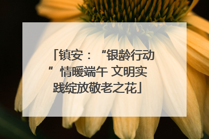 镇安：“银龄行动”情暖端午 文明实践绽放敬老之花