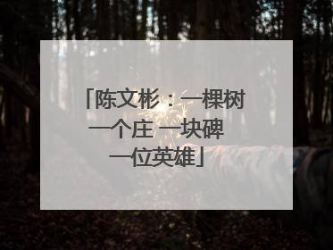 陈文彬：一棵树 一个庄 一块碑 一位英雄