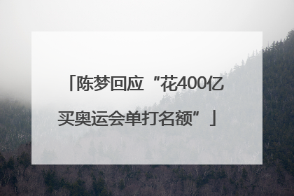 陈梦回应“花400亿买奥运会单打名额”