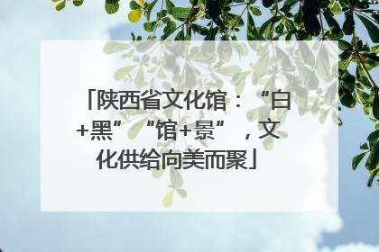 陕西省文化馆：“白+黑”“馆+景”，文化供给向美而聚