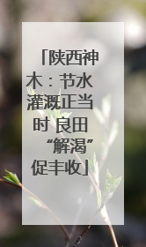 陕西神木：节水灌溉正当时 良田“解渴”促丰收