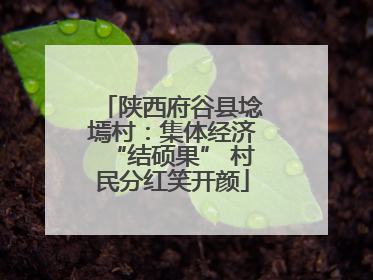 陕西府谷县埝墕村：集体经济“结硕果” 村民分红笑开颜