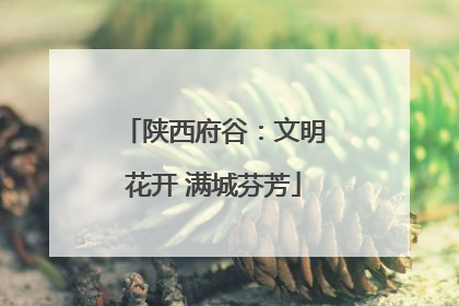 陕西府谷：文明花开 满城芬芳