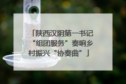 陕西汉阴第一书记“组团服务”奏响乡村振兴“协奏曲”