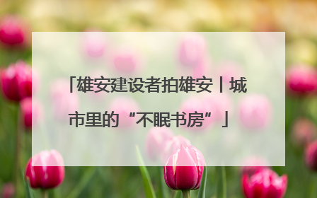 雄安建设者拍雄安丨城市里的“不眠书房”
