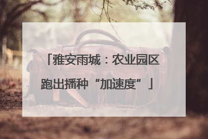 雅安雨城：农业园区跑出播种“加速度”
