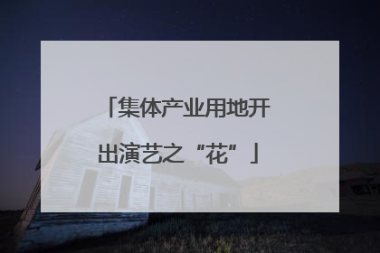 集体产业用地开出演艺之“花”