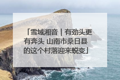 雪域湘音｜有劲头更有奔头 山南市桑日县的这个村落迎来蜕变