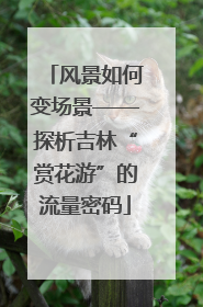 风景如何变场景——探析吉林“赏花游”的流量密码