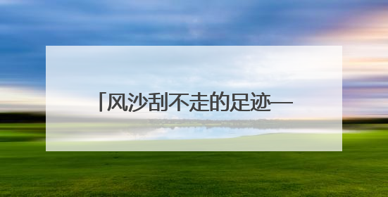 风沙刮不走的足迹——彰武“逐绿”记