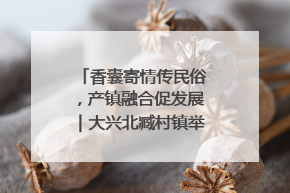 香囊寄情传民俗，产镇融合促发展｜大兴北臧村镇举办端午主题活动