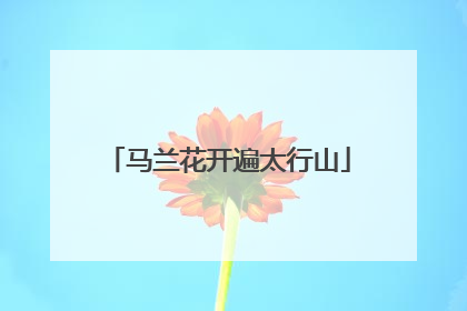 马兰花开遍太行山