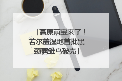 高原萌宝来了！若尔盖湿地首批黑颈鹤雏鸟破壳