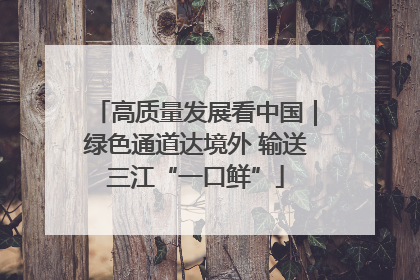 高质量发展看中国｜绿色通道达境外 输送三江“一口鲜”