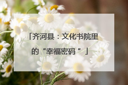 齐河县：文化书院里的“幸福密码 ”