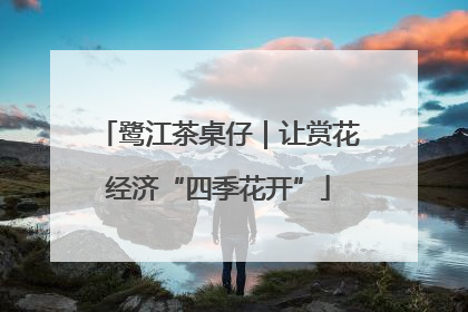 鹭江茶桌仔｜让赏花经济“四季花开”