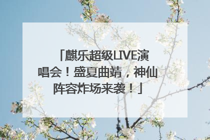 麒乐超级LIVE演唱会！盛夏曲靖，神仙阵容炸场来袭！