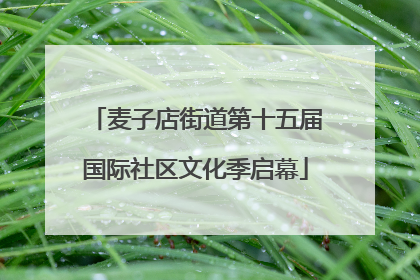麦子店街道第十五届国际社区文化季启幕