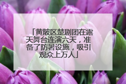 黄陂区楚剧团在露天舞台连演六天，准备了防暑设施，吸引观众上万人