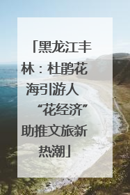 黑龙江丰林：杜鹃花海引游人 “花经济”助推文旅新热潮