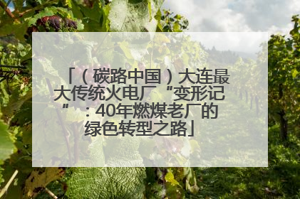 （碳路中国）大连最大传统火电厂“变形记”：40年燃煤老厂的绿色转型之路
