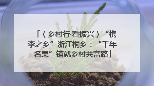（乡村行·看振兴）“槜李之乡”浙江桐乡：“千年名果”铺就乡村共富路