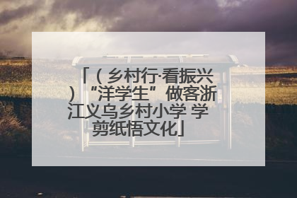 （乡村行·看振兴）“洋学生”做客浙江义乌乡村小学 学剪纸悟文化