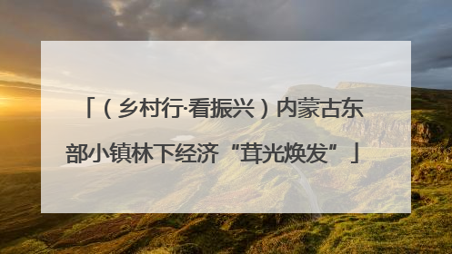 （乡村行·看振兴）内蒙古东部小镇林下经济“茸光焕发”