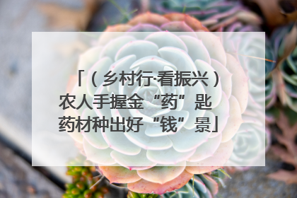 （乡村行·看振兴）农人手握金“药”匙 药材种出好“钱”景