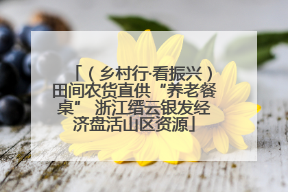 （乡村行·看振兴）田间农货直供“养老餐桌” 浙江缙云银发经济盘活山区资源