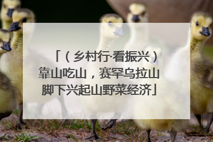 （乡村行·看振兴）靠山吃山，赛罕乌拉山脚下兴起山野菜经济