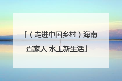 （走进中国乡村）海南疍家人 水上新生活